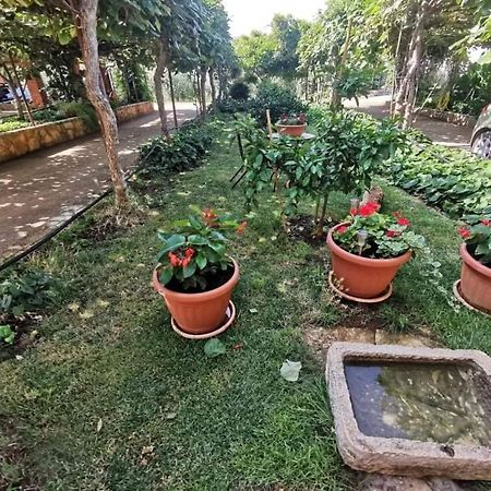App Carla Apartment Novigrad  Ngoại thất bức ảnh