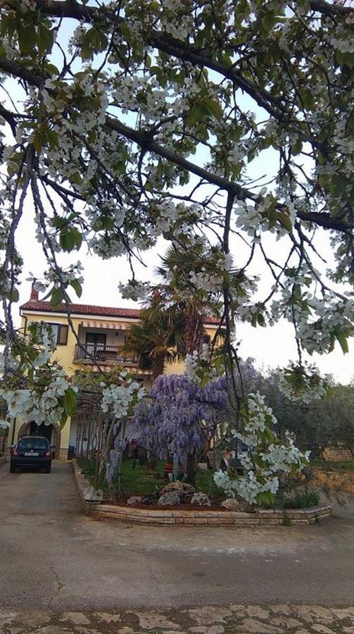App Carla Apartment Novigrad  Ngoại thất bức ảnh