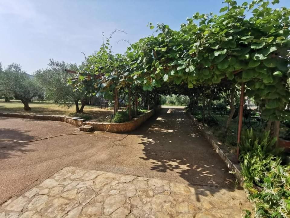 App Carla Apartment Novigrad  Ngoại thất bức ảnh