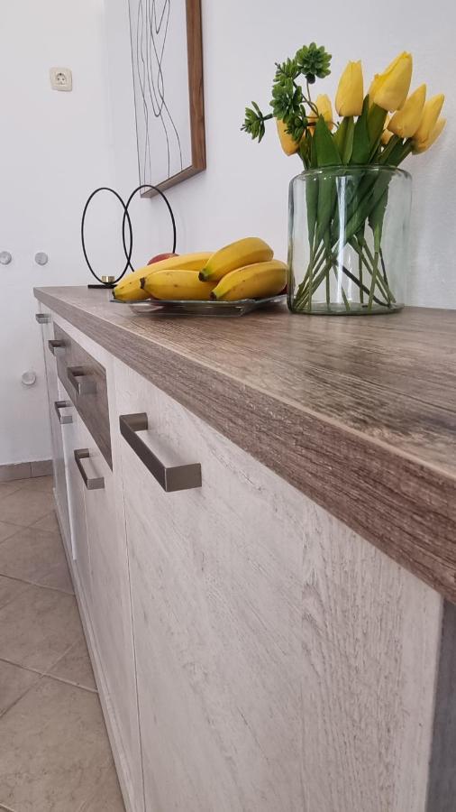 App Carla Apartment Novigrad  Ngoại thất bức ảnh